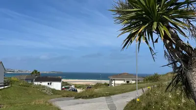 a palm tree on a hill next to a road at D21 Treville, Riviere Towans in Hayle