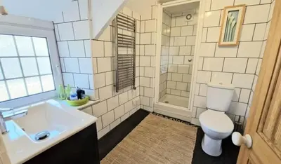 a bathroom with a toilet and a sink and a shower at North Cornwall 2-Bed Detached Period Cottage With Parking in Camelford