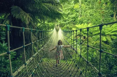 a girl walking across a suspension bridge in a forest at Sandy Nights in Tywardreath
