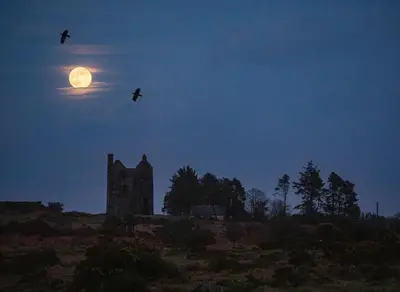 two birds flying over an old building at night with the moon at Owl Lodge in Liskeard