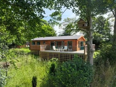 a log cabin in the woods with a bird house at Owl Lodge in Liskeard