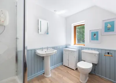 a bathroom with a toilet and a sink and a shower at Idle Rock in Polzeath