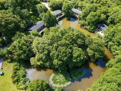 an aerial view of a river with trees at 2 Tree Tops in Looe