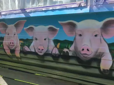 four pigs painted on the side of a bus at Quiet peaceful relaxing off grid Campervan Seaview and Ponies in Carbis Bay
