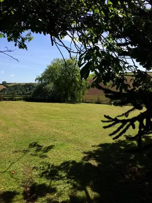 a field of grass with a tree in the foreground at Trecorme Barton in Quethiock