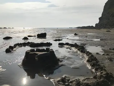 a beach with rocks in the water at Cleave Cottage in Crackington Haven