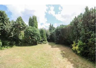 a yard with trees and grass in a field at Creek View House in Feock