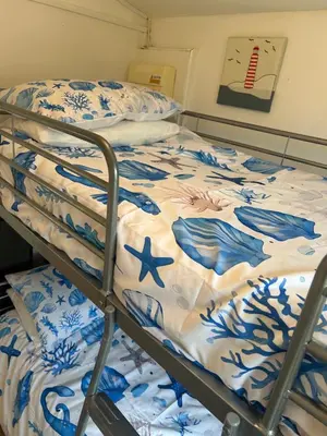 a hospital bed with a blue and white comforter at 159 Atlantic Bays St Merryn in St Merryn