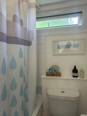 a bathroom with a toilet and a shower curtain at 159 Atlantic Bays St Merryn in St Merryn