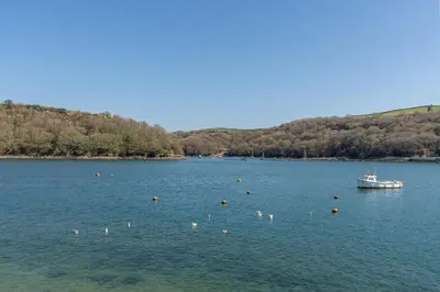 a boat in a large body of water with birds at Quayside in Fowey