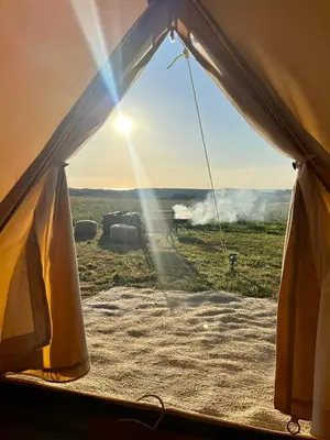 a view from a tent looking out at a field at Tiny Treamble in Cubert