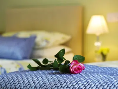 a pink rose sitting on top of a bed at Copper Meadow in Launceston