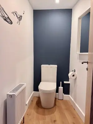 a bathroom with a toilet and a blue wall at Penheyl, Tregonce near Padstow and Sea in St. Issey