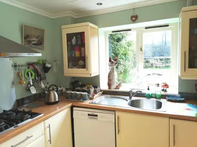 a kitchen with a sink and a cat looking out the window at Single room, close to beaches and Eden Project in Tywardreath