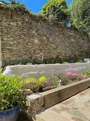 a garden with plants in a stone wall at Central, 10min walk to beach with off-road parking in Falmouth