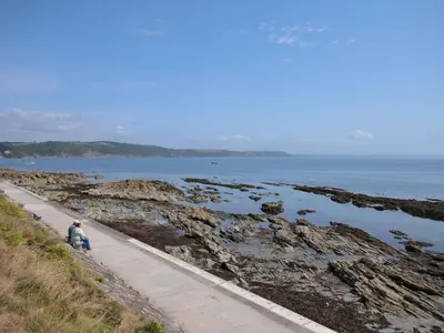 a person sitting on a path next to the ocean at Evelyn in Looe