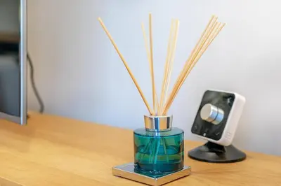 a vase with sticks in it next to a speaker at 1 Bed in Lostwithiel oc-n32748 in Lostwithiel