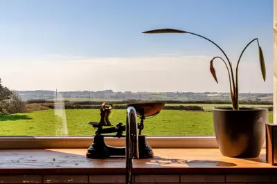 a window sill with a plant and a sewing machine at 3 Bed in St. Mawgan oc-h30677 in Saint Eval