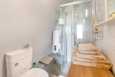 a bathroom with a toilet and a glass shower at 1 Bed in Four Lanes oc-s32768 in Carnbrea
