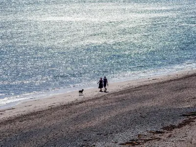 two people and a dog walking on the beach at On The Beach in Downderry