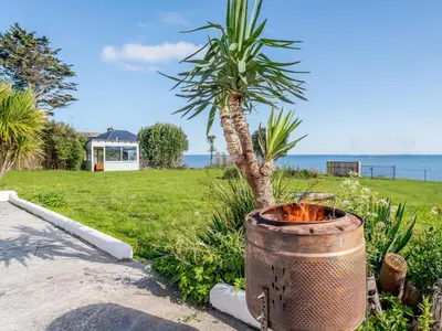 a barrel sitting in the grass next to a palm tree at On The Beach in Downderry