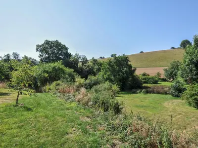 a grassy field with trees and a hill in the background at Little Coombe in Liskeard