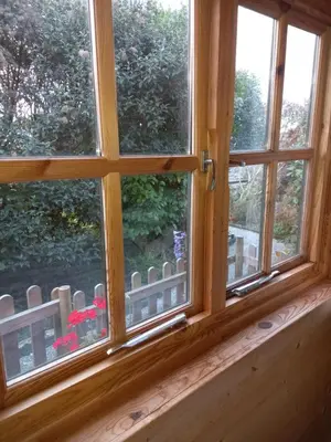 a window with a view of a garden at The Nook in St Ives