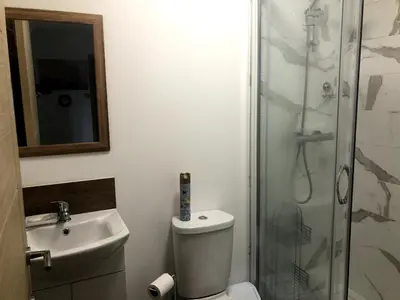 a bathroom with a shower and a toilet and a sink at Gannel View Apartment in Newquay