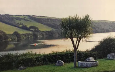 a palm tree in the grass next to a lake at Gannel View Apartment in Newquay