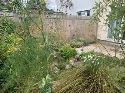 a garden with a wooden fence and flowers at 2 Bed-Sleeps 4-Parking-Pets-10 min walk to Beach in Falmouth