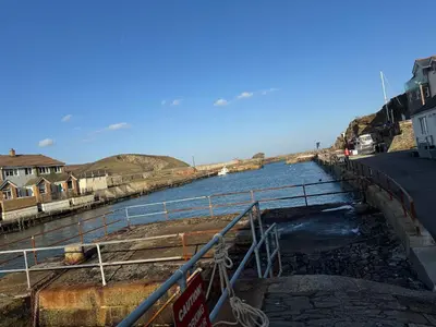 a view of a river with houses and buildings at Harbour Edge in Portreath