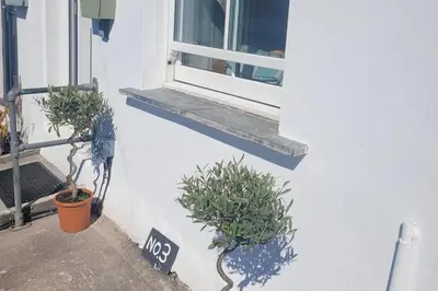 a window with potted plants on the side of a building at Looe Cottage - Seaside views log fire sleeps 4 in Looe