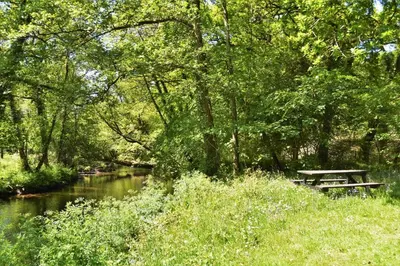 a picnic table sitting next to a river at 1 Bed in Two Waters Foot oc-n27333 in Warleggan