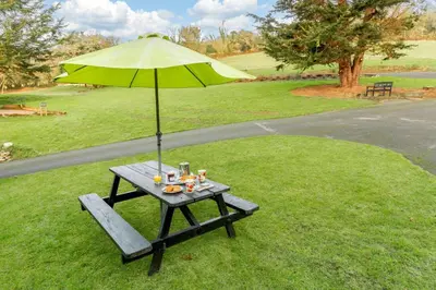 a picnic table with an umbrella on the grass at 1 Bed in Two Waters Foot oc-n27333 in Warleggan
