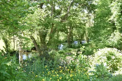 a garden with a river and trees and flowers at 3 Bed in Two Waters Foot oc-r27336 in Cardinham