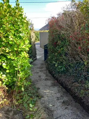 a garden path between two bushes and a building at Garden room in St Ives