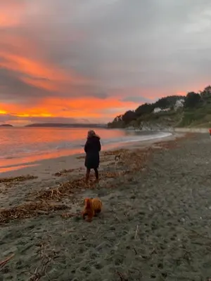 a person standing on a beach with a dog at Cute Cornish Cottage in Saint Germans