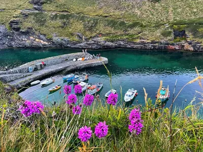 a group of boats in a body of water with flowers at Hollowell House Holiday Apartment in Boscastle