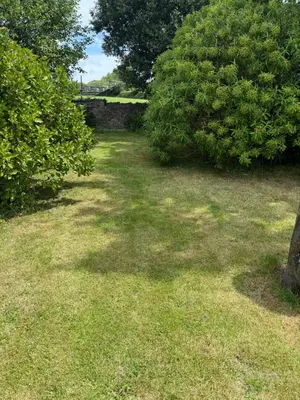 a grassy yard with trees and a stone wall at Buddleia Cottage Trewoon, St Austell in St Austell