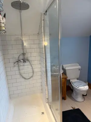 a bathroom with a shower and a toilet at Buddleia Cottage Trewoon, St Austell in St Austell