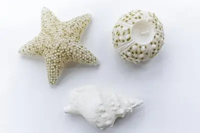two starfish and a shell on a white surface at St Ives Holiday Cottage with Parking – Coastal Retreat in St Ives