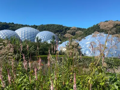 a group of domes in a field of plants at The Mowhay tranquil farm stay with views in Redruth