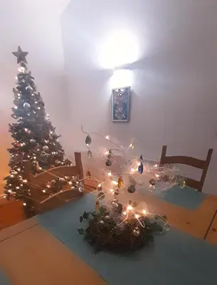 a christmas tree with lights in a living room at Sweetpea - Near Newquay - a tranquil hideaway in Saint Dennis
