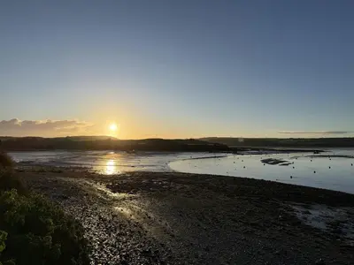 a sunset over a beach with ducks in the water at 42 Little Trelyn in Wadebridge