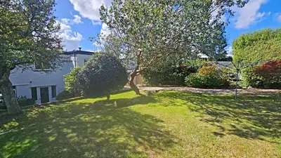 a tree in the yard of a house at The Red House Annexe in Saint Mawes