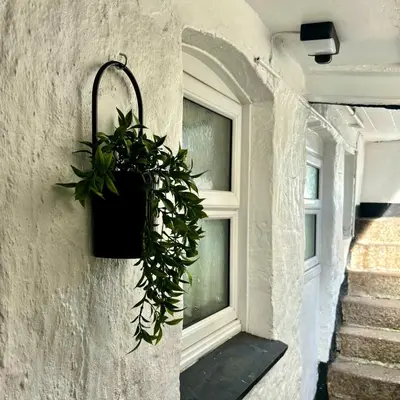 a potted plant on a wall next to a window at Turtle retreat in Falmouth