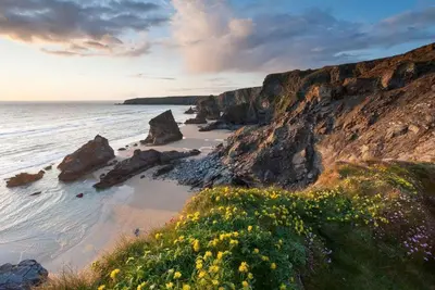 a view of a beach with rocks and flowers at Tiddlywink in Newquay
