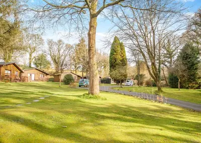 a yard with a tree in the grass at Ruthern Valley Holidays in Withiel