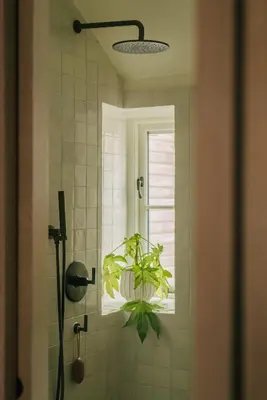 a bathroom with a potted plant in a window at Cozy Cottage in St Ives in St Ives
