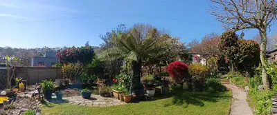 a garden filled with lots of plants and flowers at Chy An Geddon in Penryn